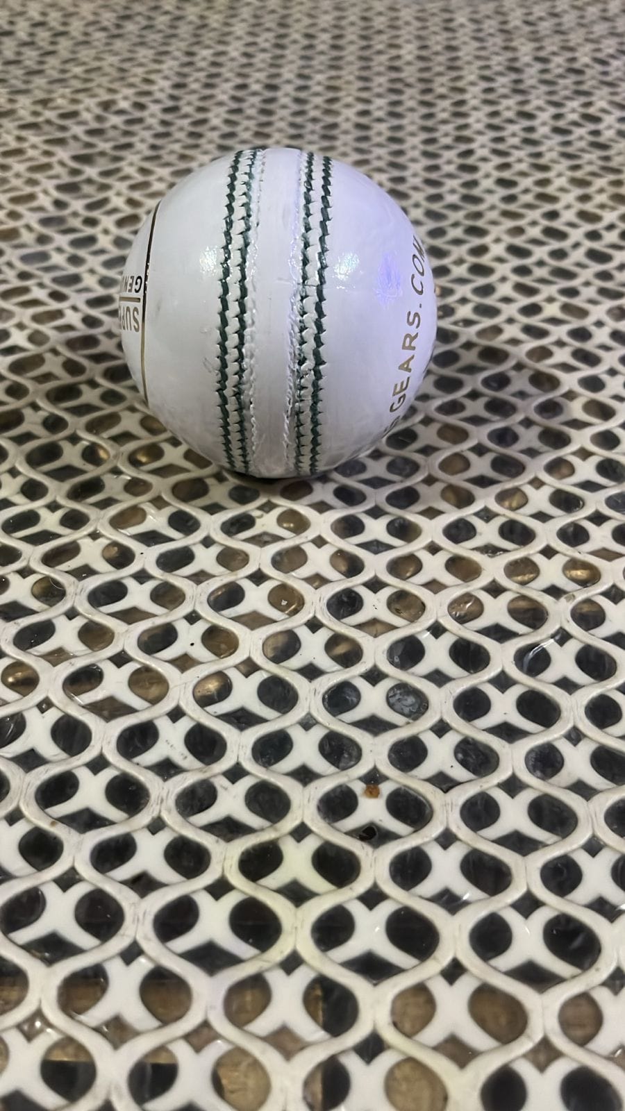 ABS Pink Cricket Ball