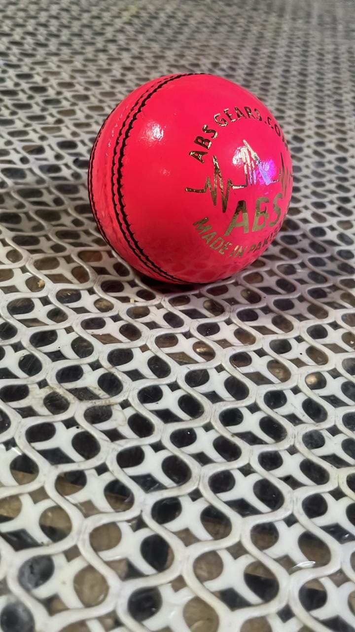 ABS Pink Cricket Ball