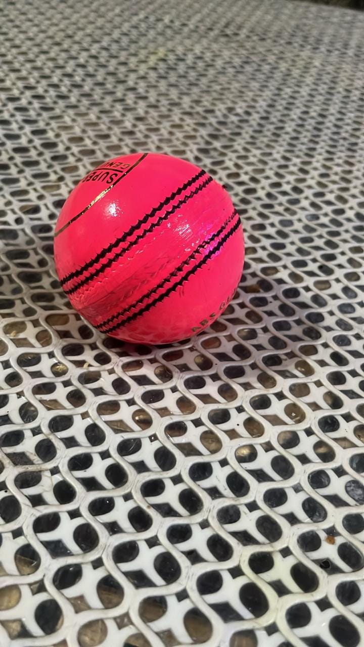 ABS Pink Cricket Ball