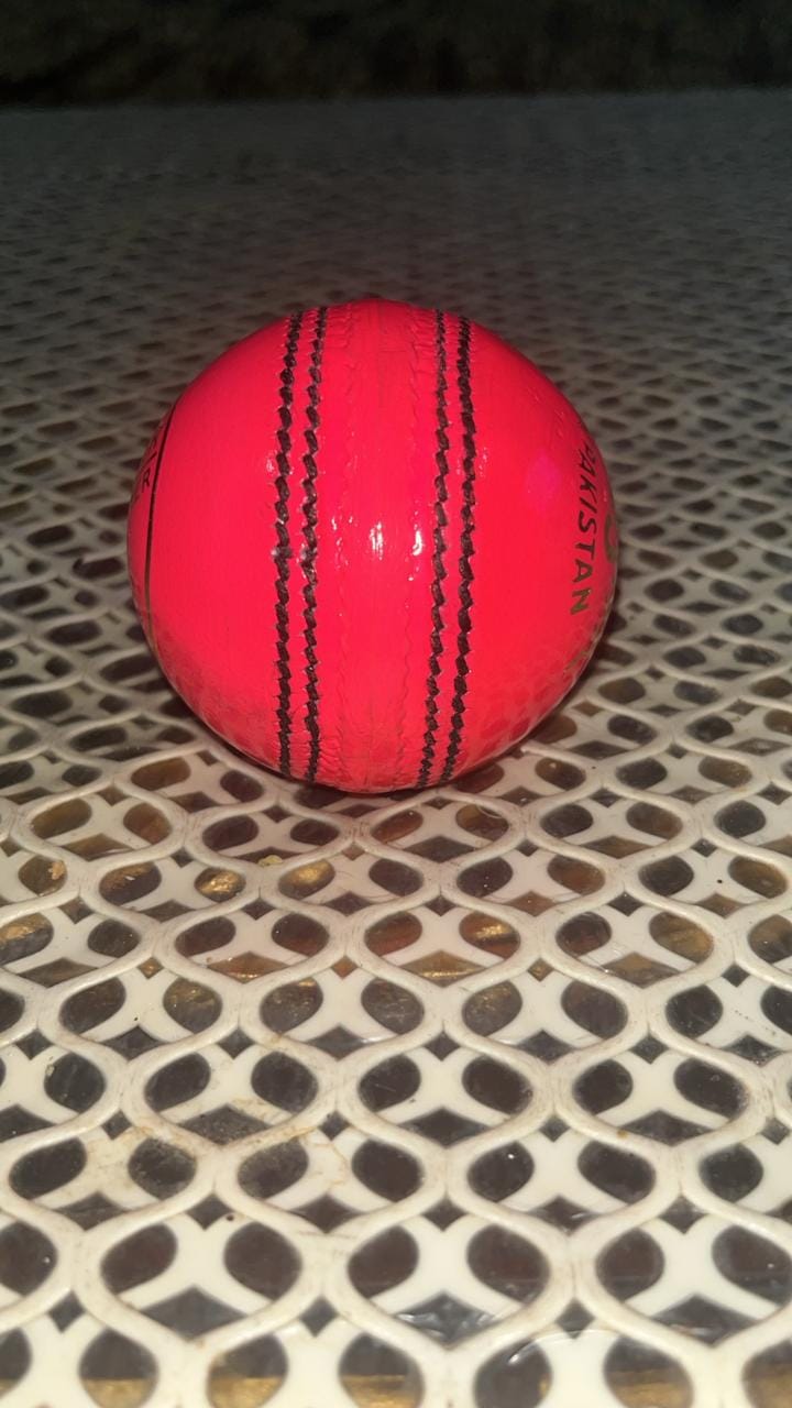 ABS Pink Cricket Ball